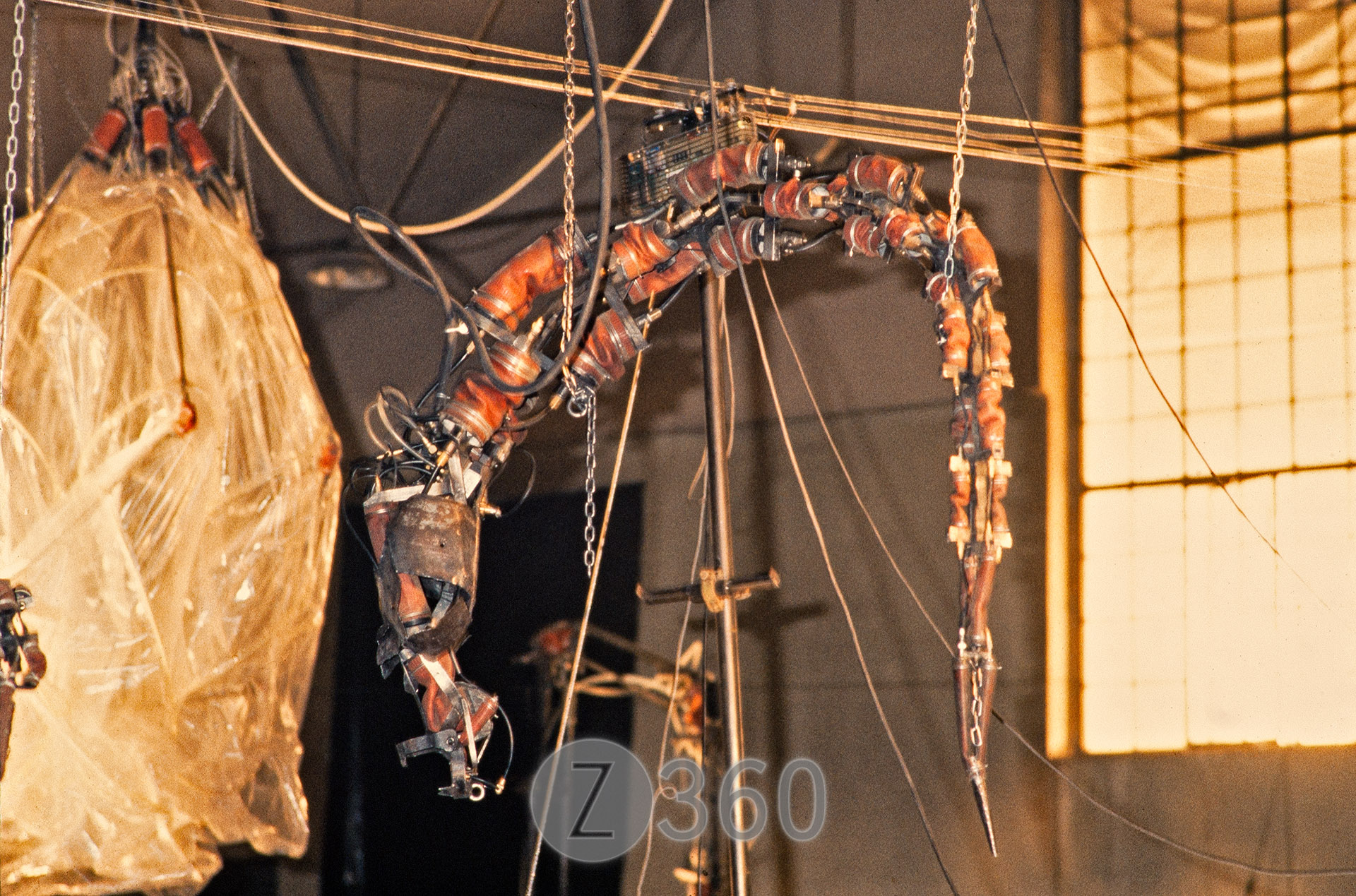 Unnatural Bodies, Berlin 1989