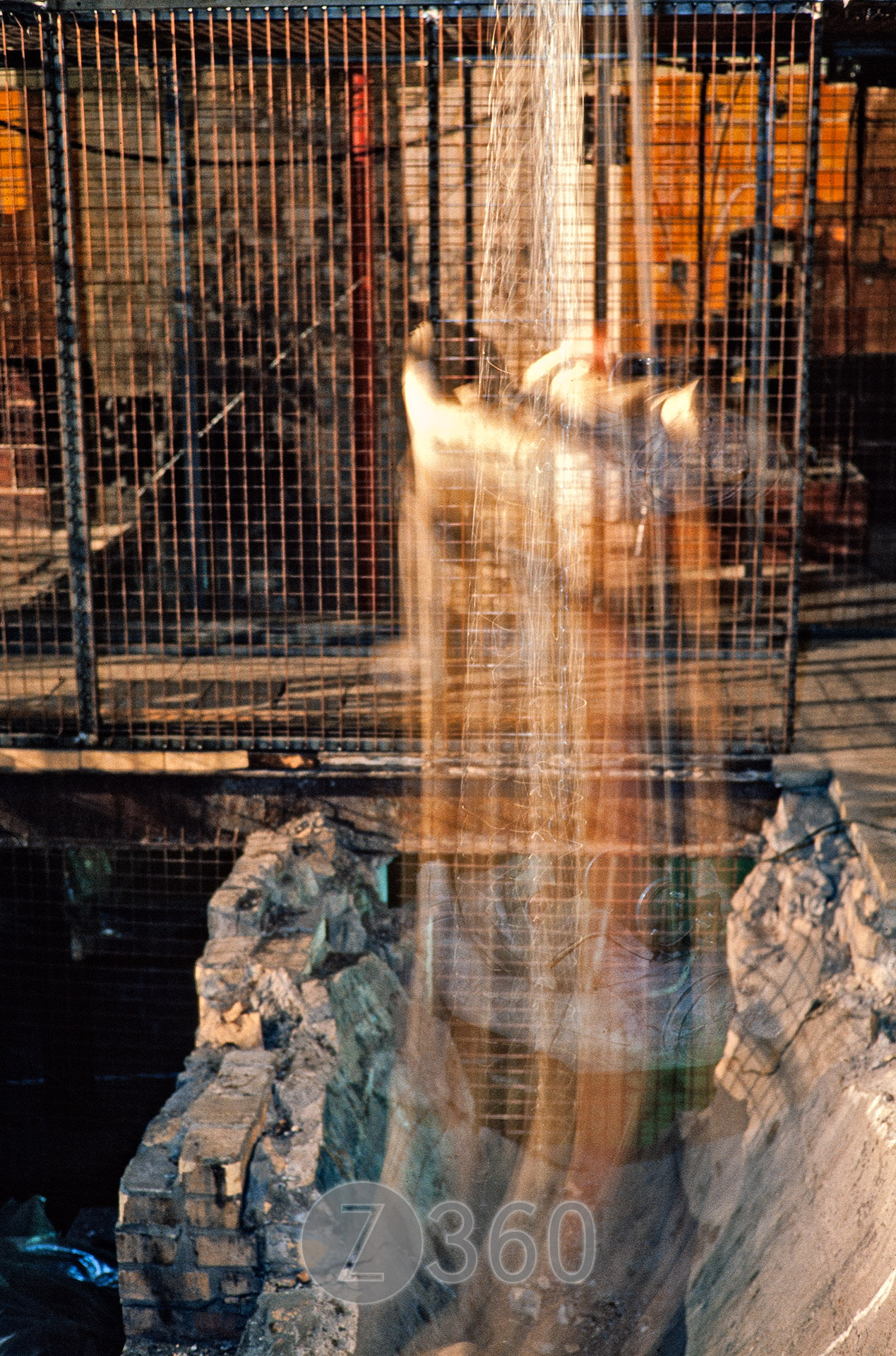 Unnatural Bodies, Berlin 1989