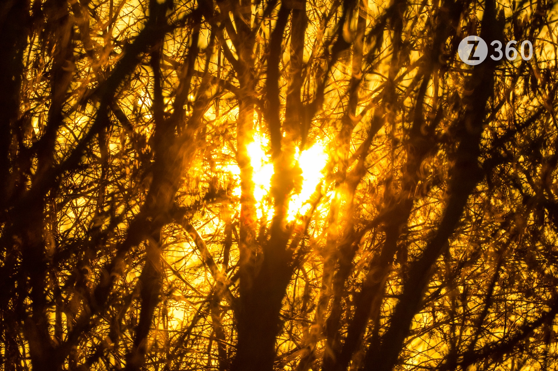500mm Mirror Lens