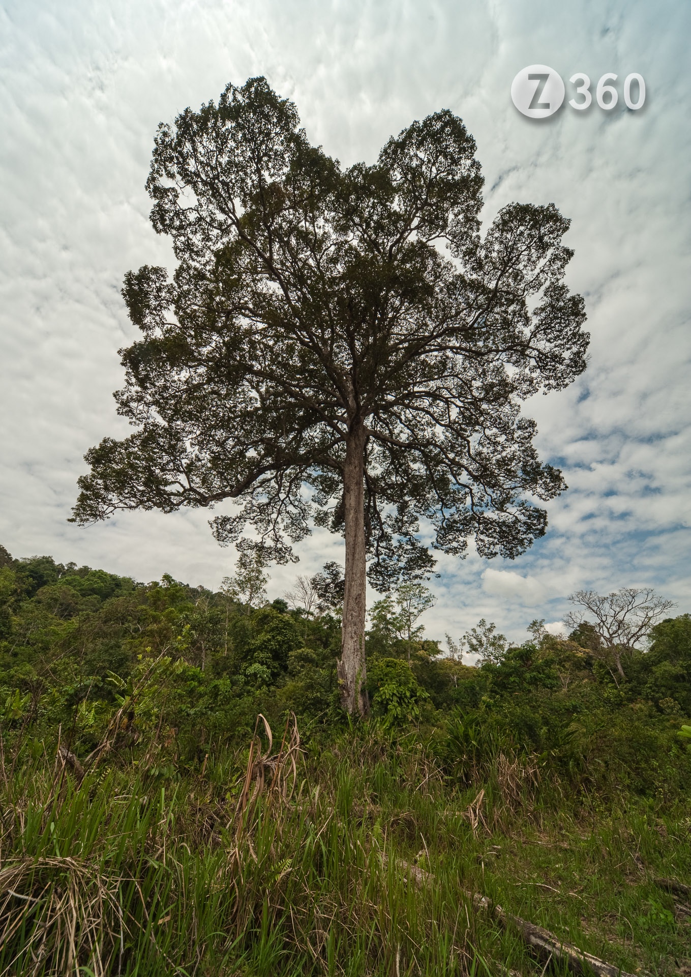 Batu Patong, Kelabit Highlands