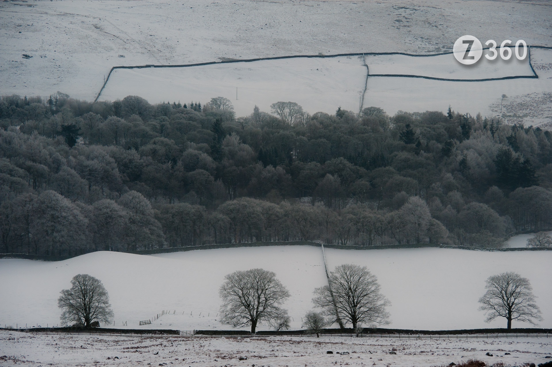 Yorkshire