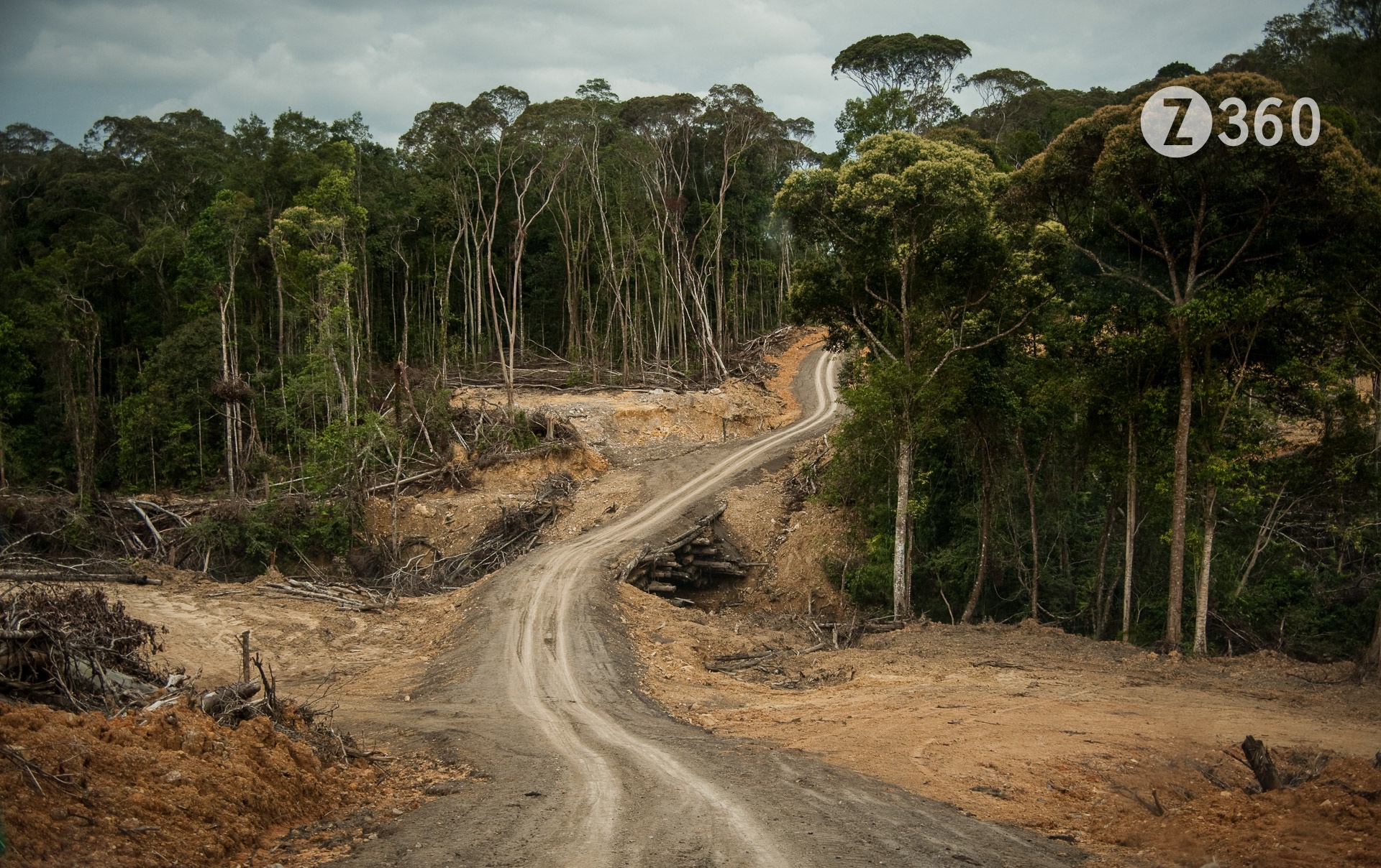 Kelabit Highlands, Borneo