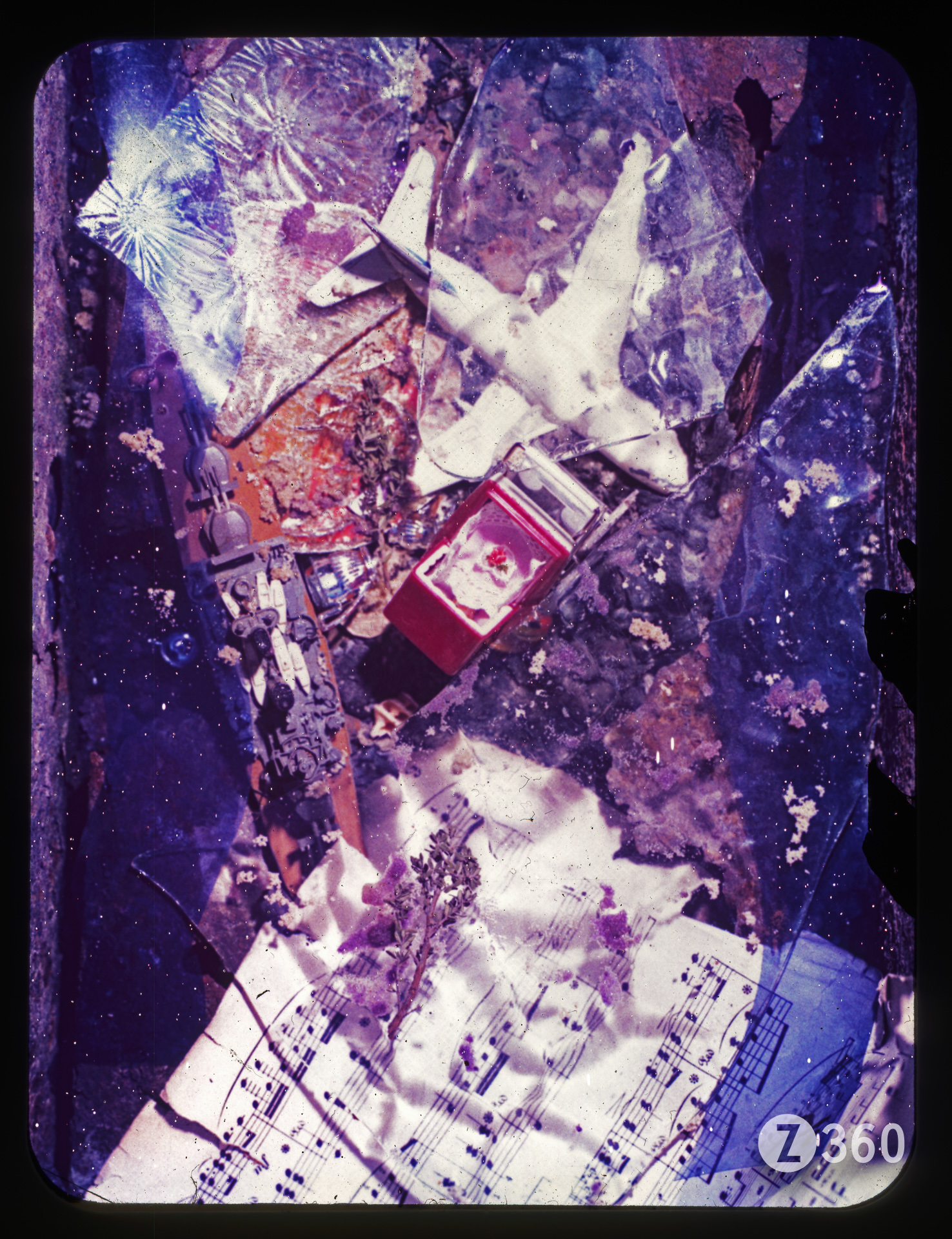 People Show Polaroid 691