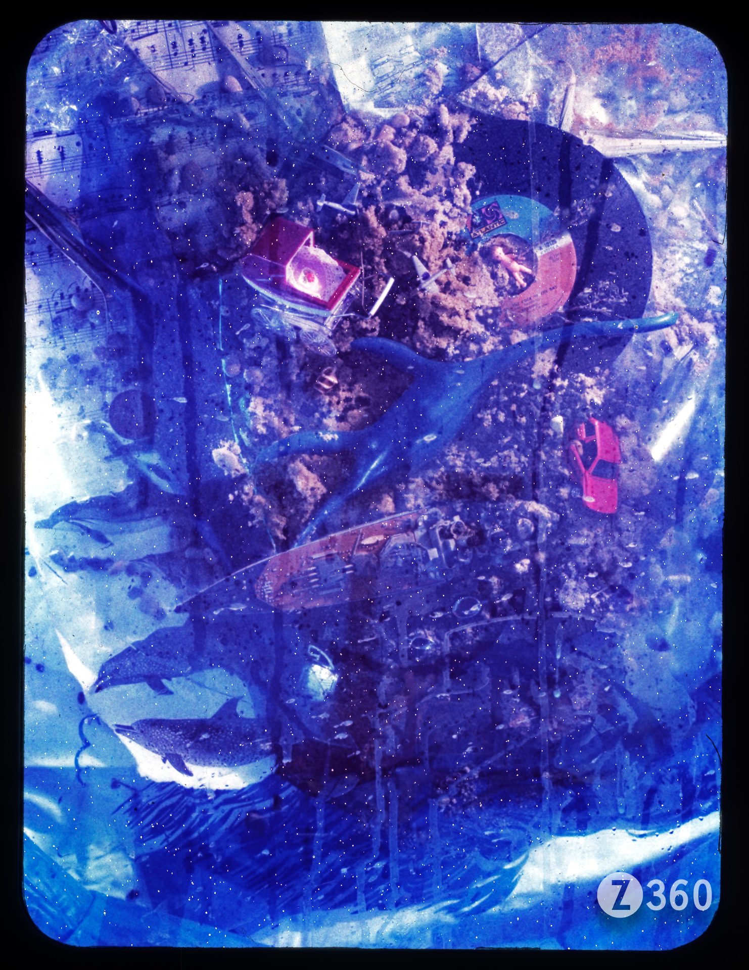 People Show Polaroid 691