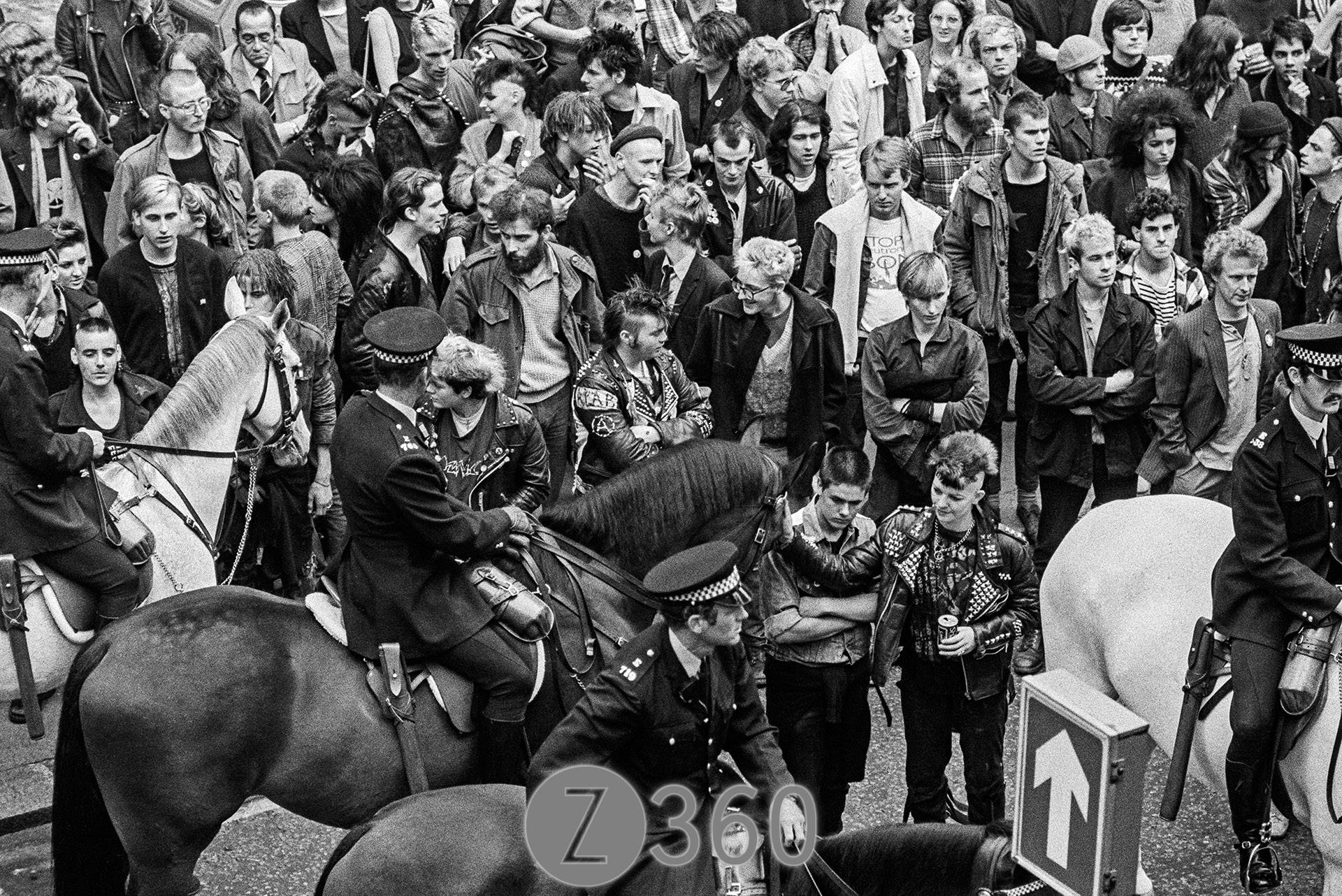 The Horses are loved