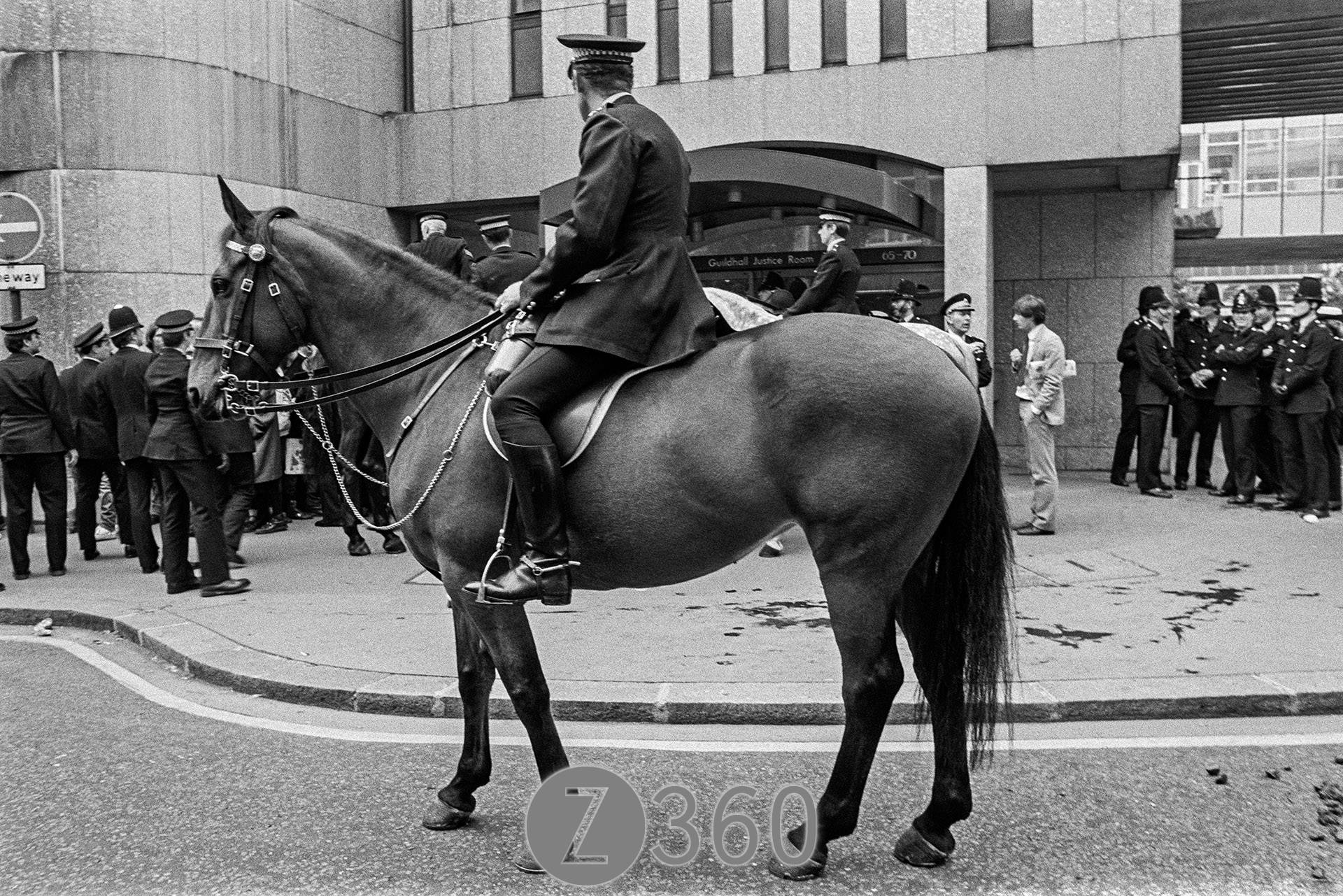 The Horses outside Guildhall Justice Room