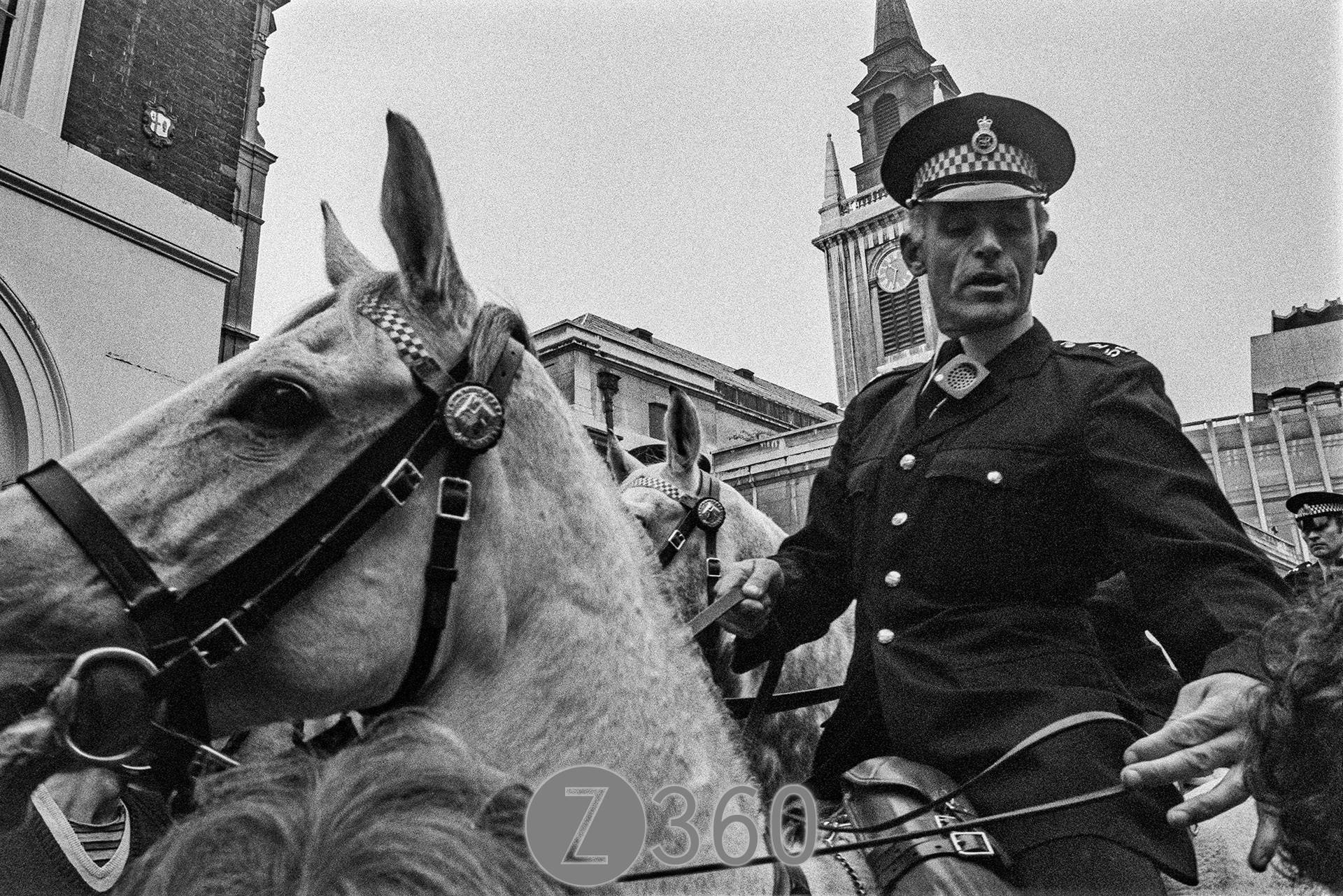 Horses arrive again