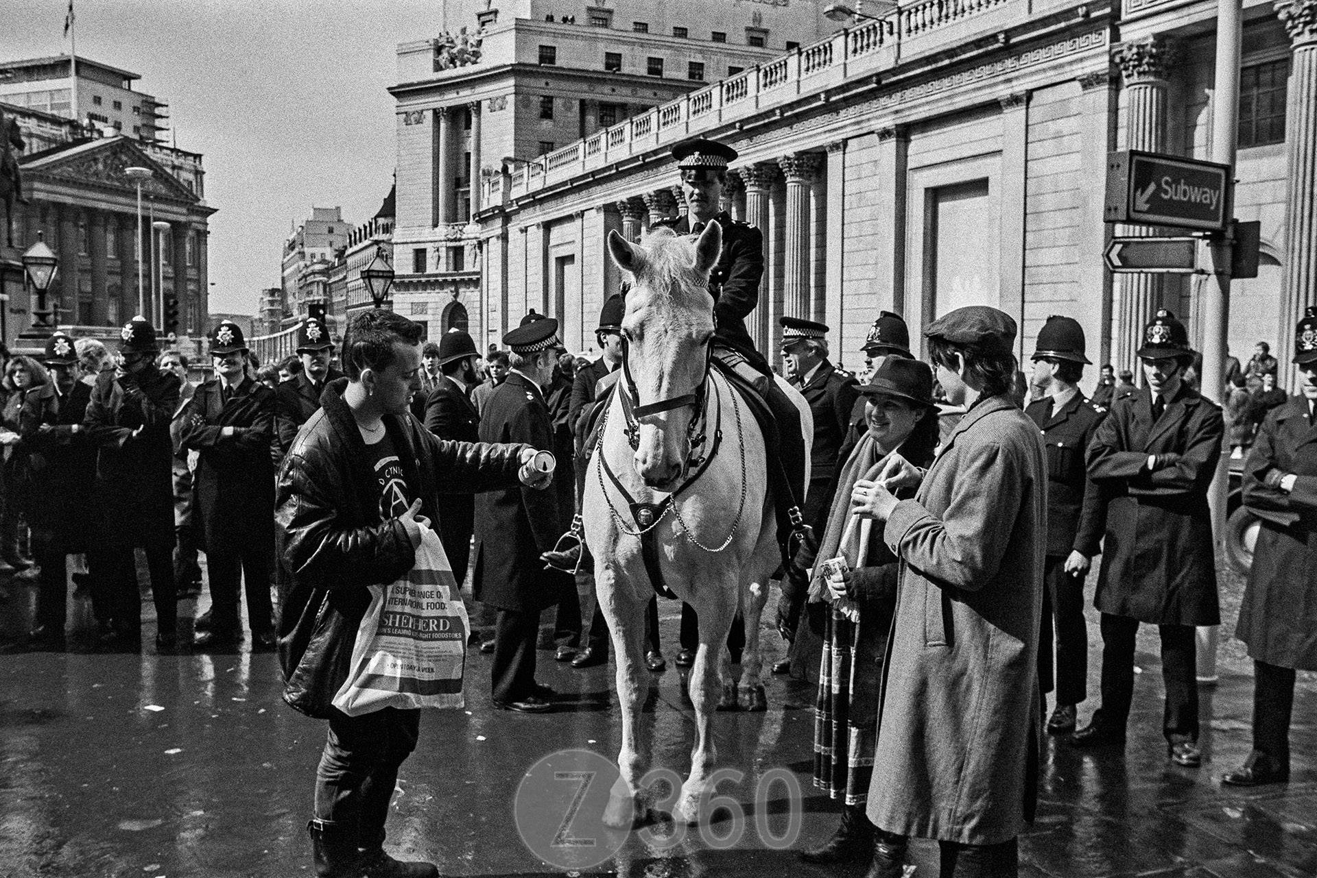 Protestor offers beer to horse