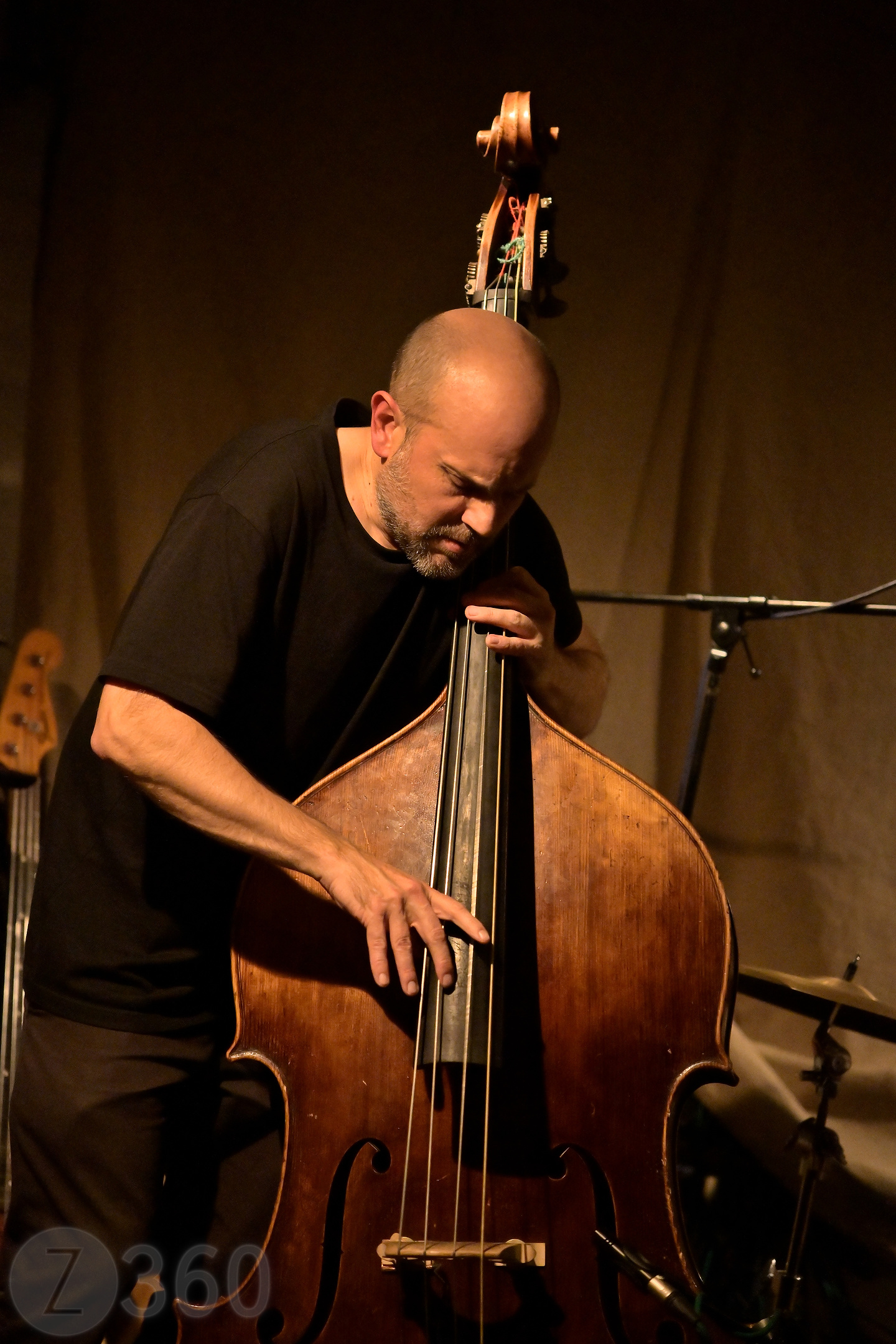 Johan Berthling